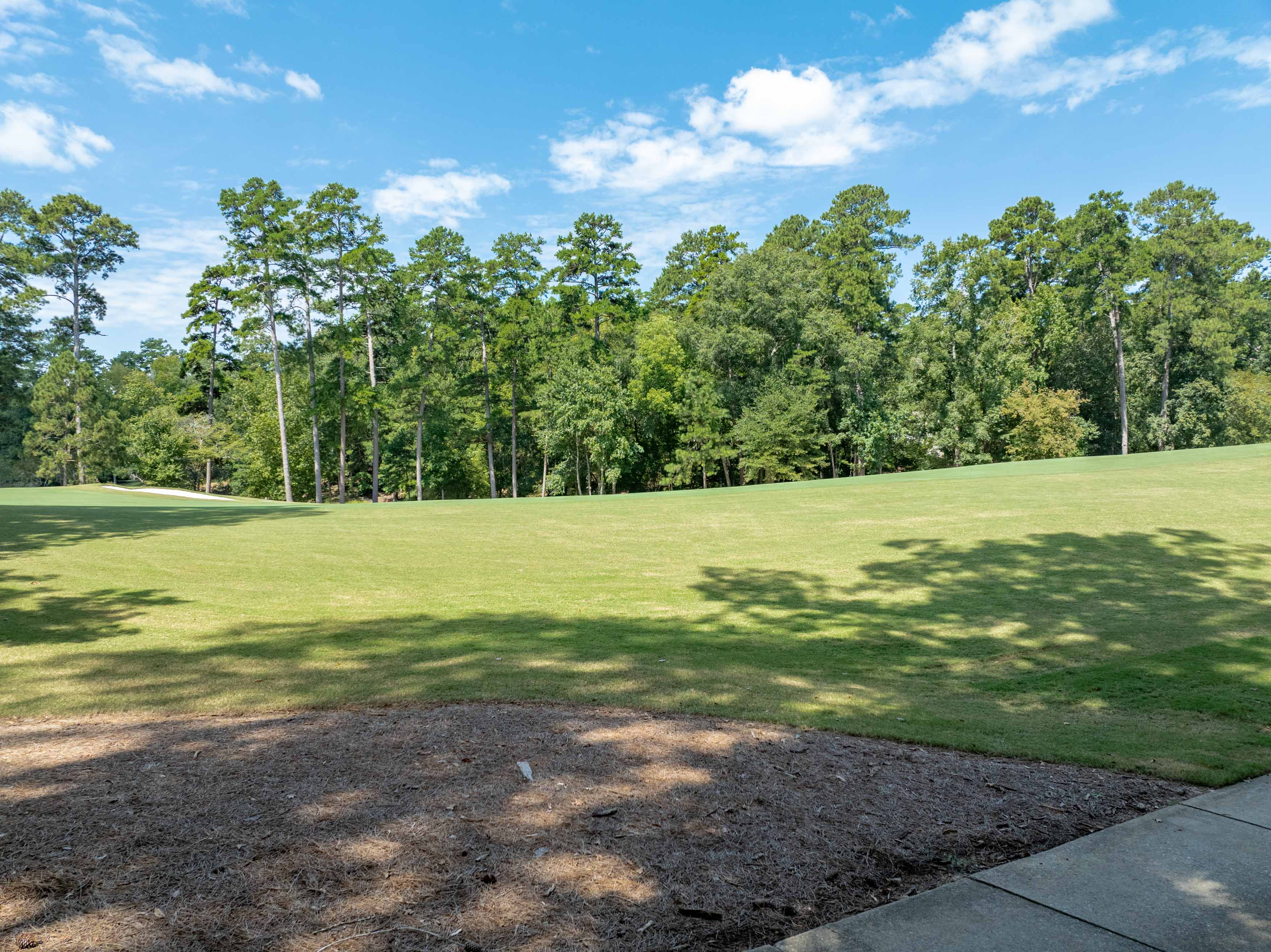 1021 Branson Bluff image 9